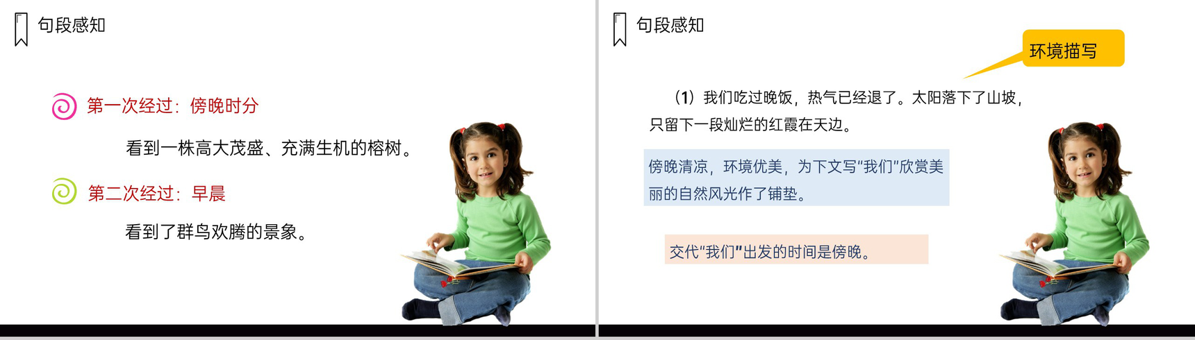 《鸟的天堂》人教版五年级上册语文PPT课件-4