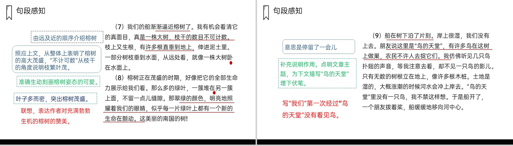 《鸟的天堂》人教版五年级上册语文PPT课件-6