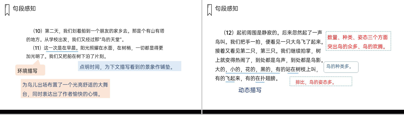 《鸟的天堂》人教版五年级上册语文PPT课件-7
