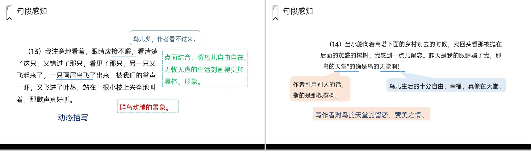 《鸟的天堂》人教版五年级上册语文PPT课件-8