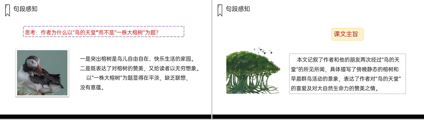 《鸟的天堂》人教版五年级上册语文PPT课件-9