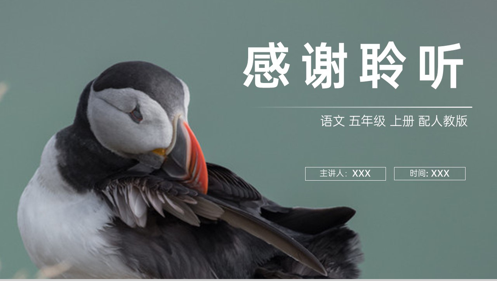 《鸟的天堂》人教版五年级上册语文PPT课件-11