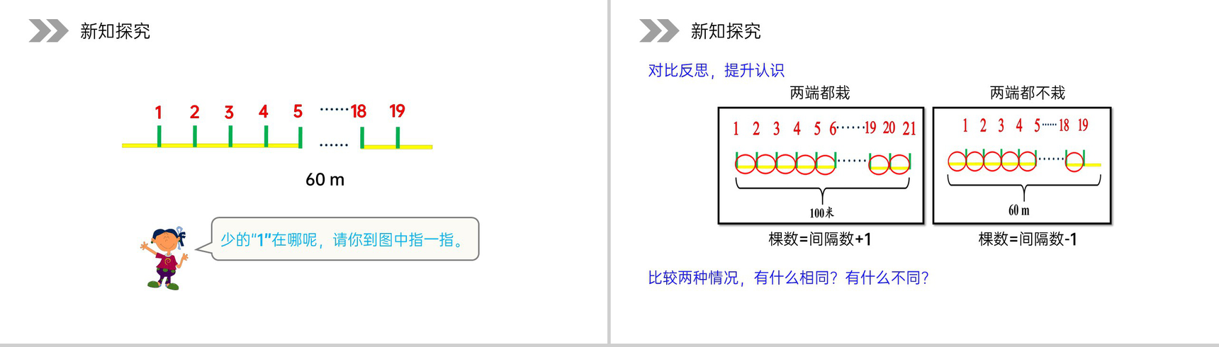 《植树问题》人教版小学数学五年级上册PPT课件(第7.1.2课时)-4
