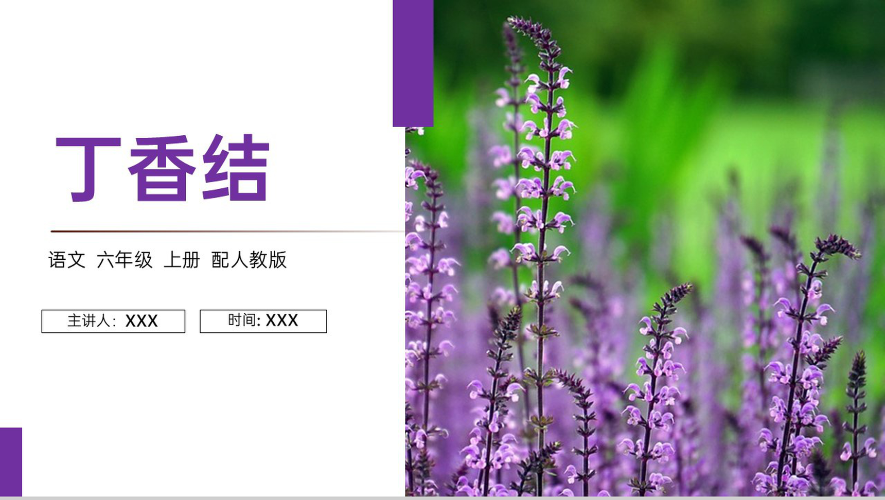 《丁香结》人教版六年级上册语文PPT课件-1