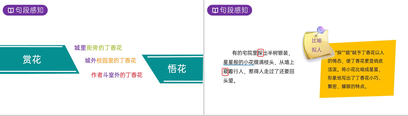 《丁香结》人教版六年级上册语文PPT课件-4