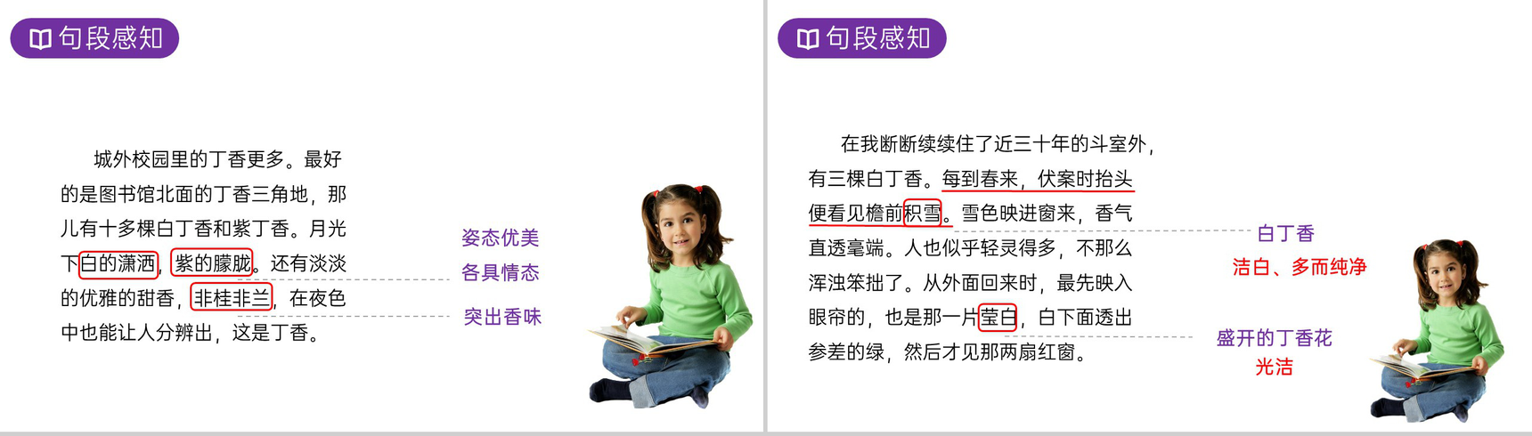 《丁香结》人教版六年级上册语文PPT课件-5