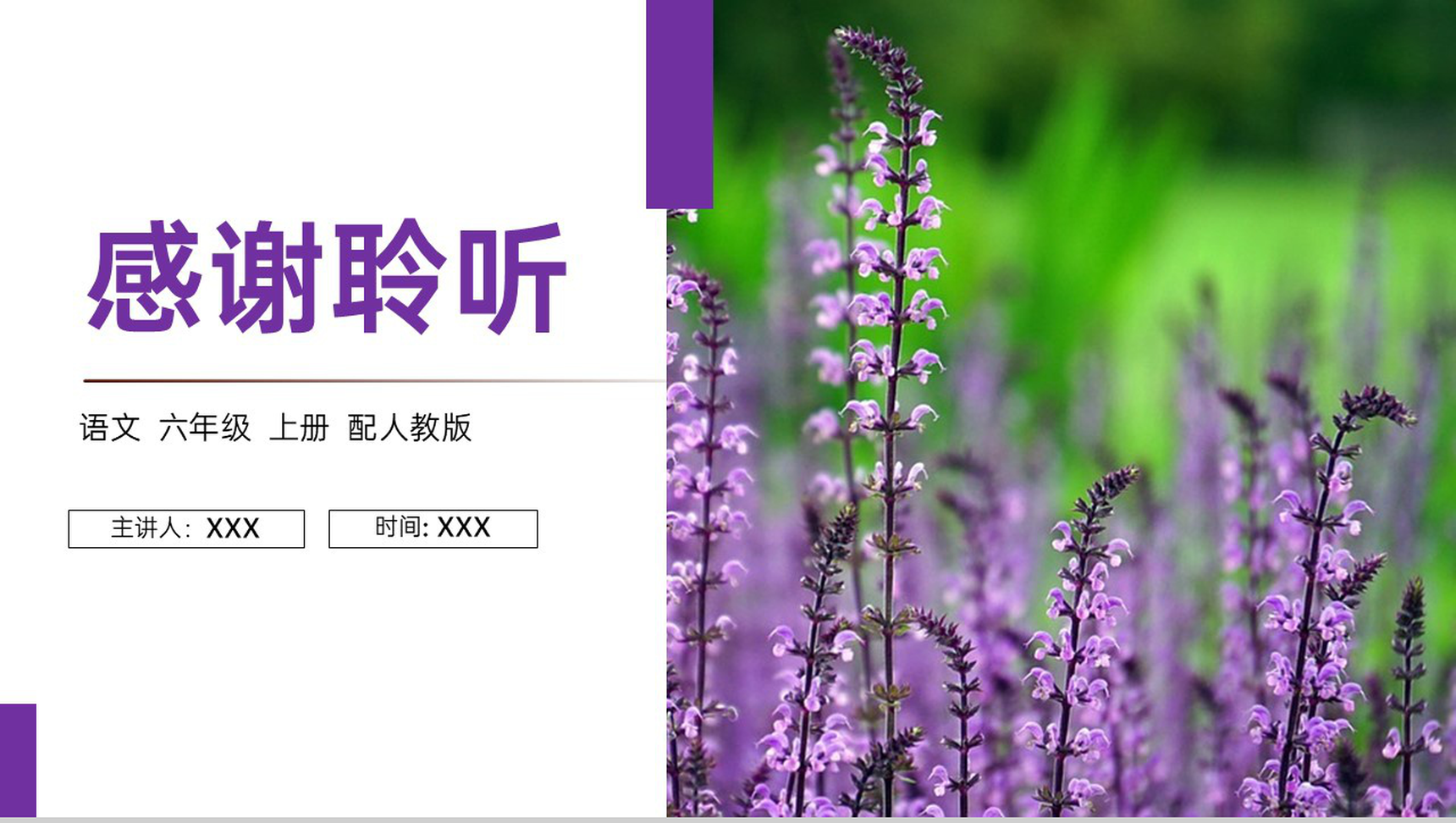 《丁香结》人教版六年级上册语文PPT课件-10