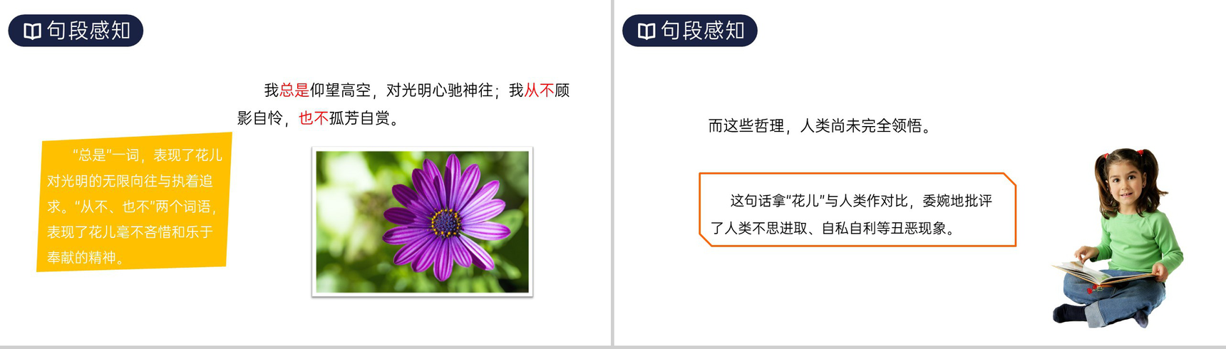 《花之歌》人教版六年级上册语文PPT课件-7