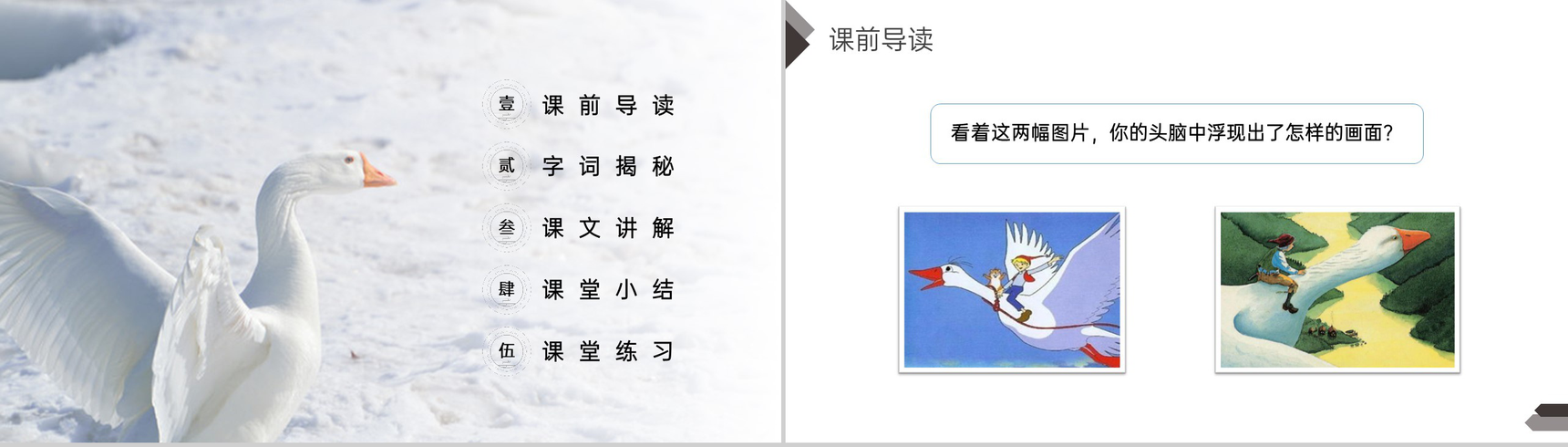 《骑鹅旅行记》人教版六年级语文下册精品PPT课件-2