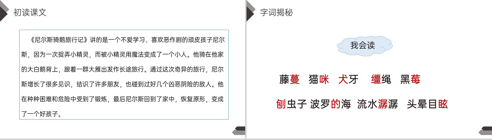 《骑鹅旅行记》人教版六年级语文下册精品PPT课件-4