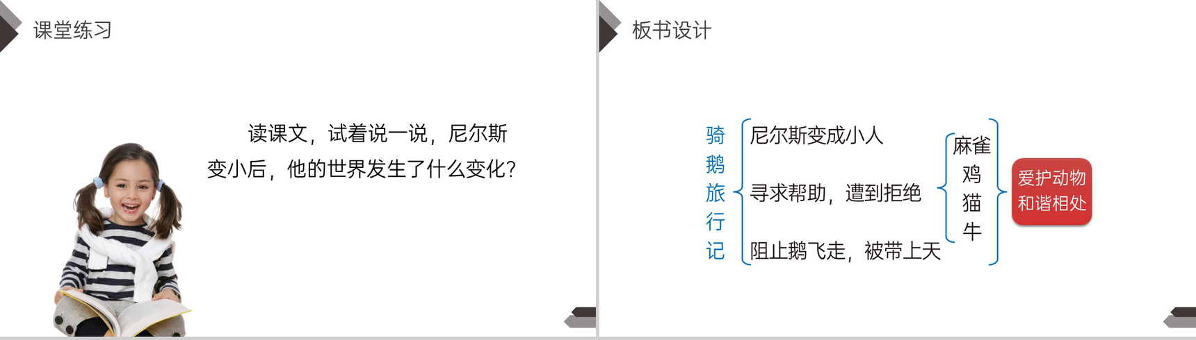 《骑鹅旅行记》人教版六年级语文下册精品PPT课件-10