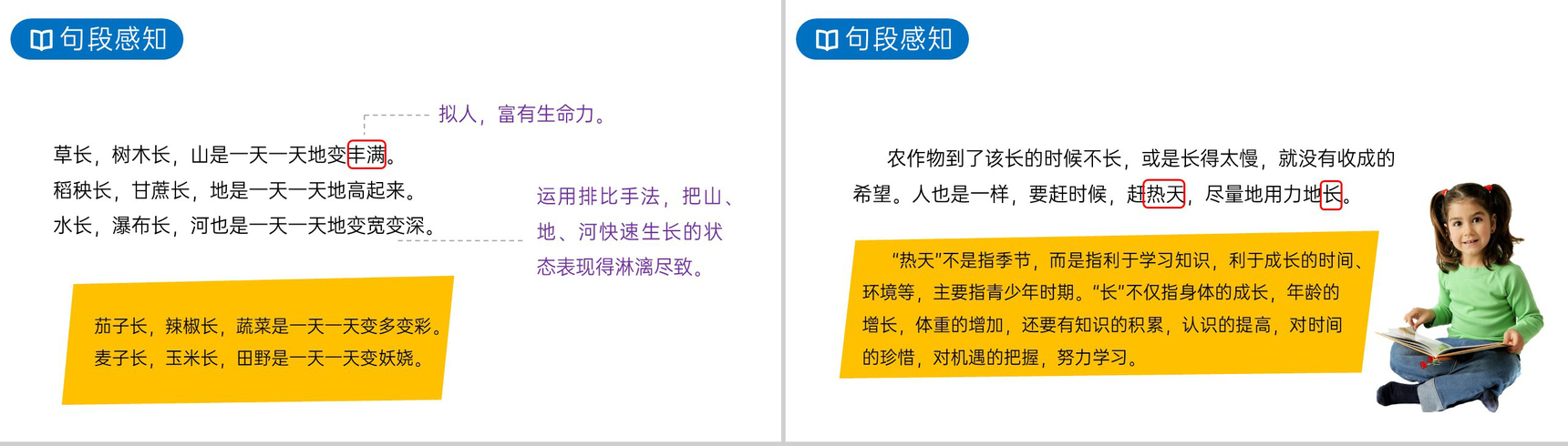 《夏天里的成长》人教版六年级上册语文PPT课件-5