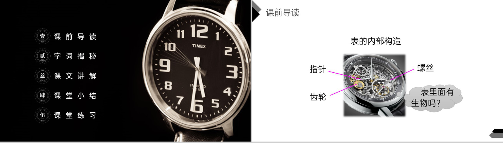 《表里的生物》人教版六年级语文下册精品PPT课件-2