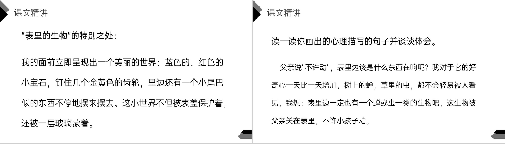 《表里的生物》人教版六年级语文下册精品PPT课件-7