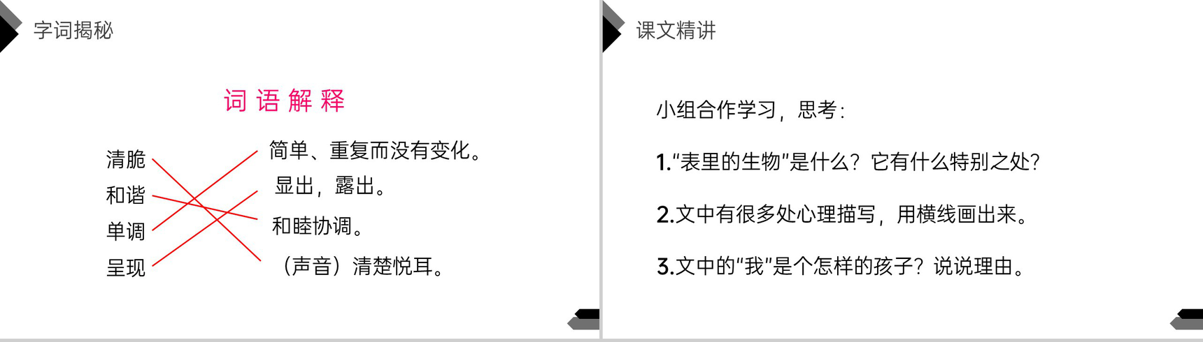 《表里的生物》人教版六年级语文下册精品PPT课件-6