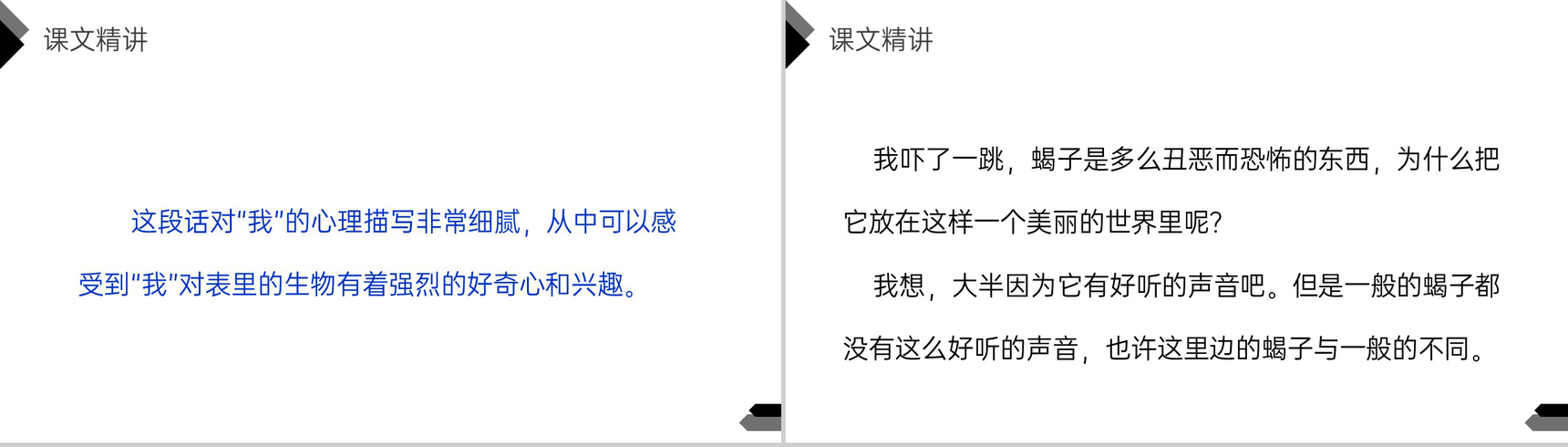 《表里的生物》人教版六年级语文下册精品PPT课件-8