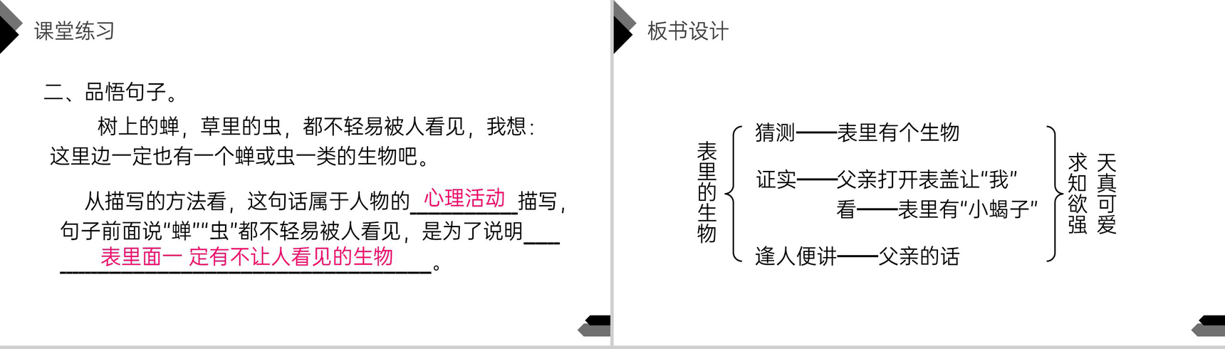 《表里的生物》人教版六年级语文下册精品PPT课件-13