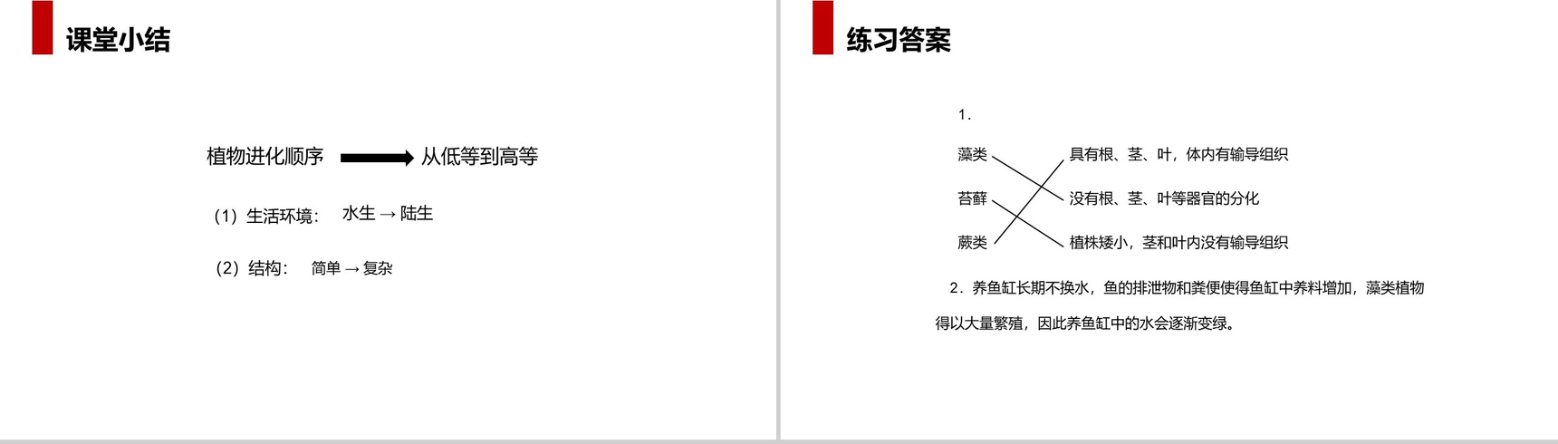 《藻类、苔藓和蕨类植物》人教版七年级初一生物上册PPT课件-12
