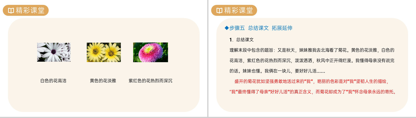 《秋天的怀念》人教版七年级上册语文PPT课件-8