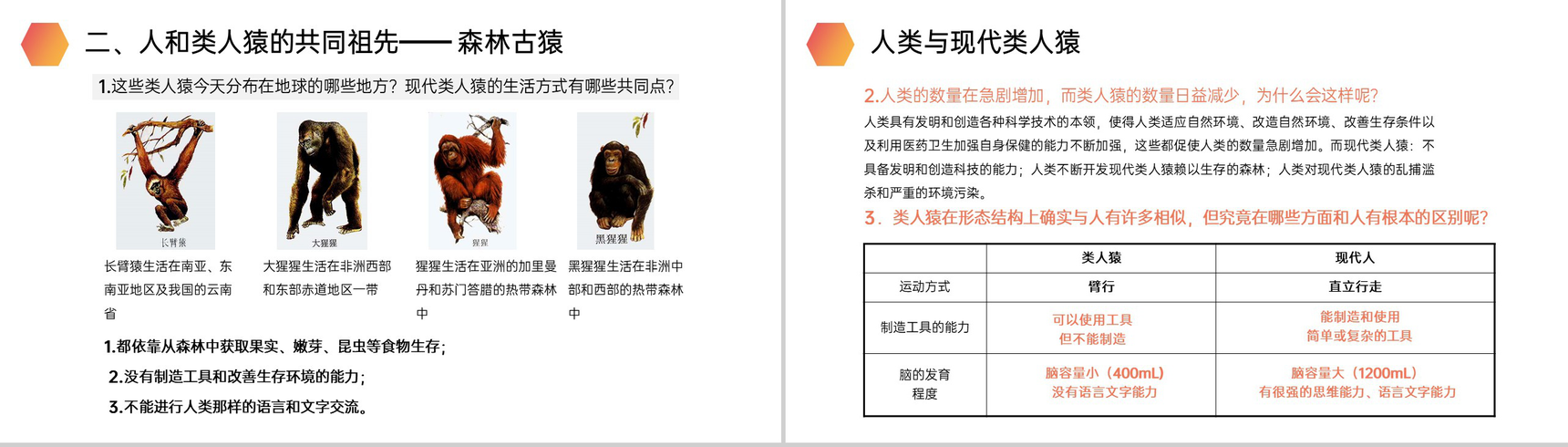 《人类的起源和发展》人教版生物七年级初一下册PPT课件-4