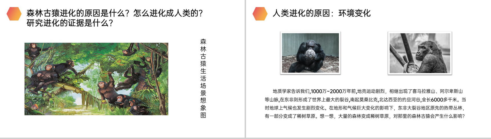 《人类的起源和发展》人教版生物七年级初一下册PPT课件-6