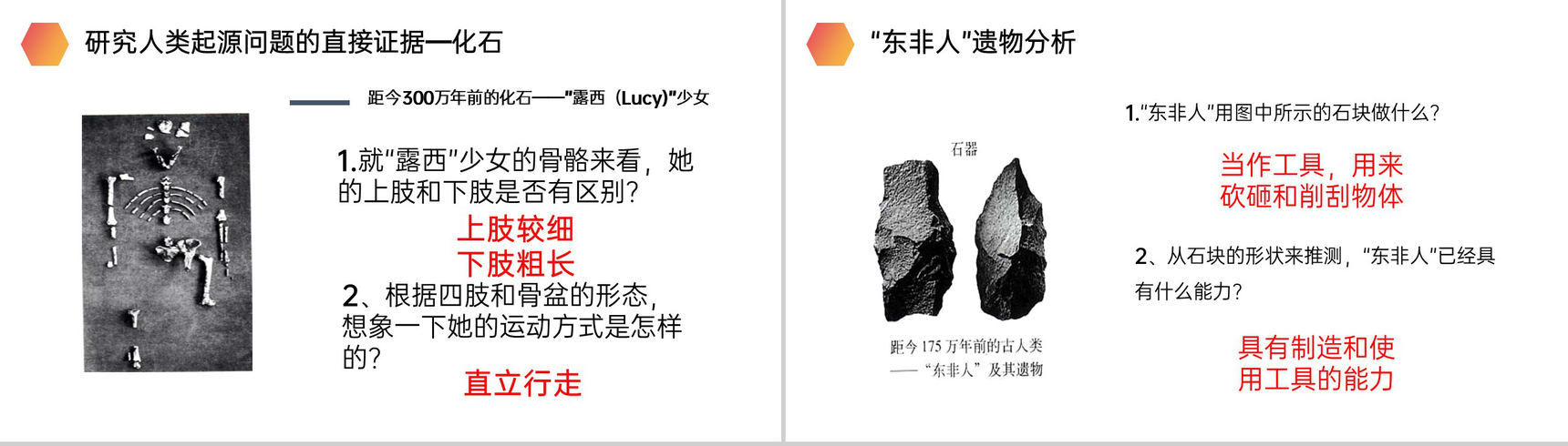 《人类的起源和发展》人教版生物七年级初一下册PPT课件-8