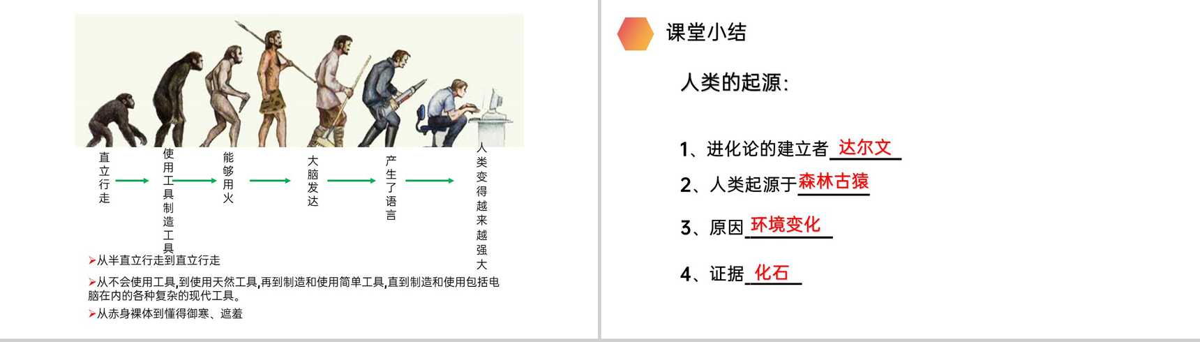 《人类的起源和发展》人教版生物七年级初一下册PPT课件-9