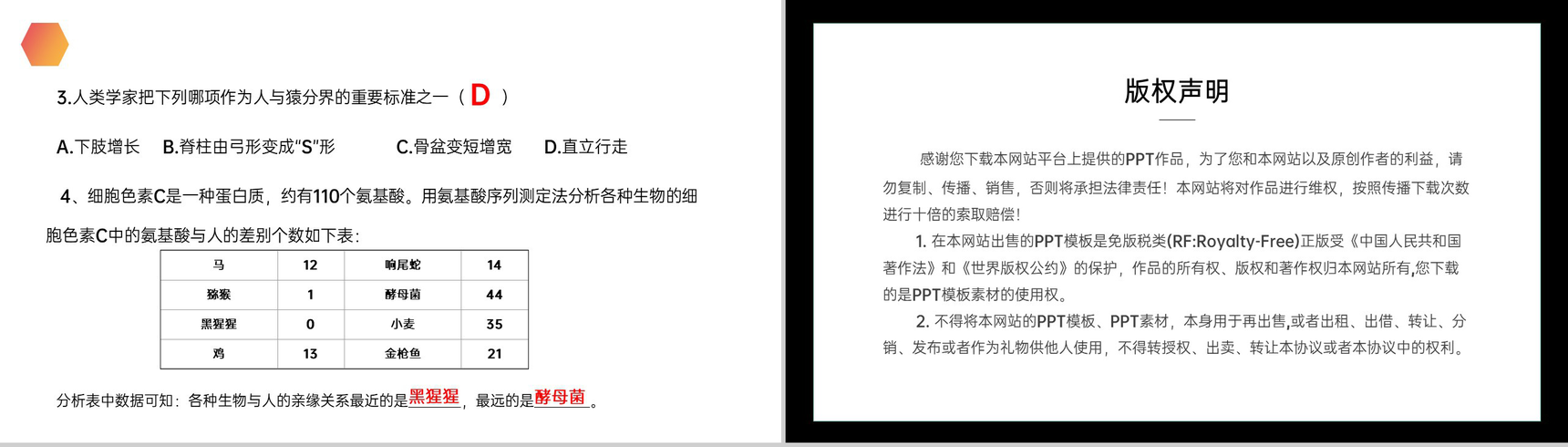 《人类的起源和发展》人教版生物七年级初一下册PPT课件-11