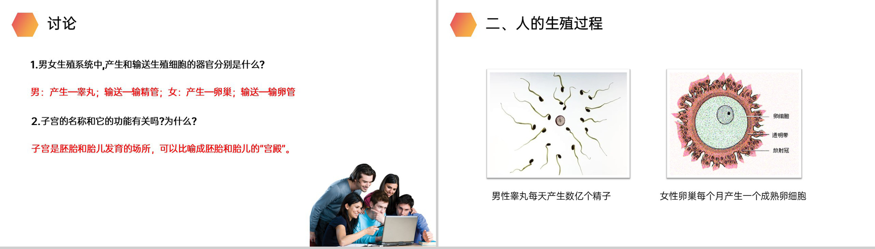 《人的生殖》人教版生物初中七年级初一下册PPT课件-5