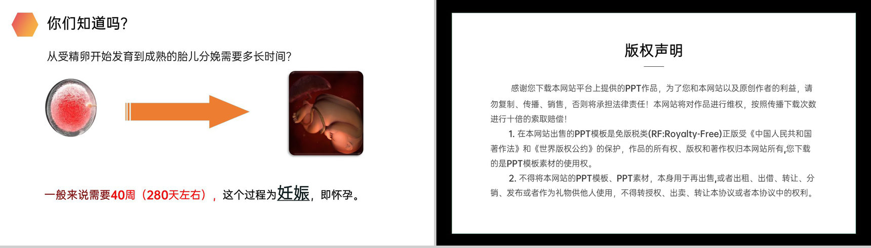 《人的生殖》人教版生物初中七年级初一下册PPT课件-14