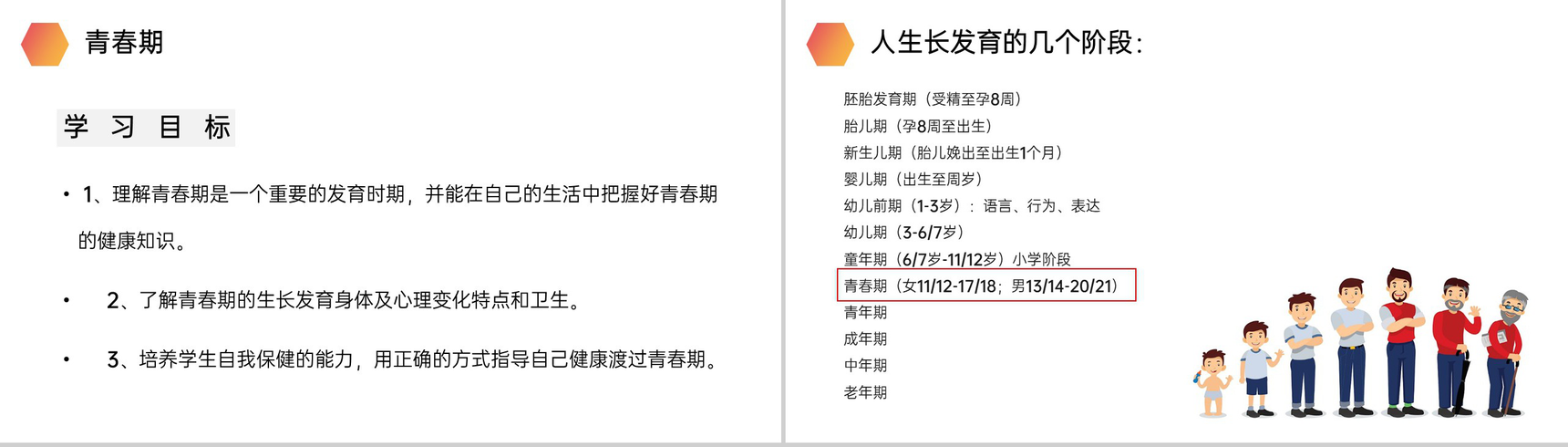 《青春期》人教版生物七年级初一下册PPT课件-2