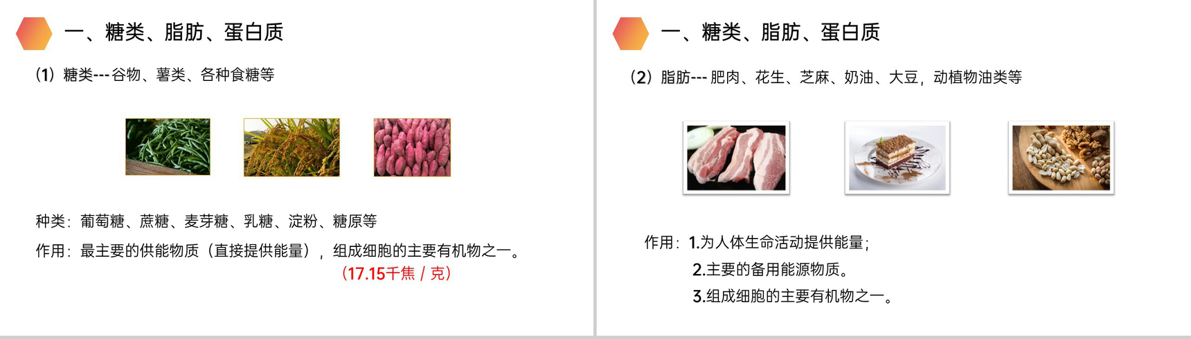 《食物中的营养物质》人教版生物七年级初一下册PPT课件-4