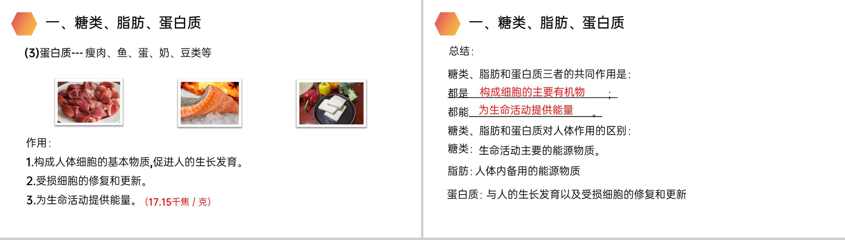 《食物中的营养物质》人教版生物七年级初一下册PPT课件-5