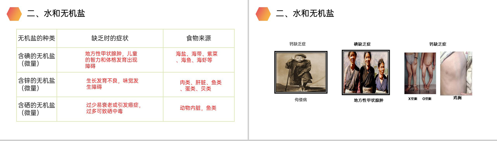 《食物中的营养物质》人教版生物七年级初一下册PPT课件-15
