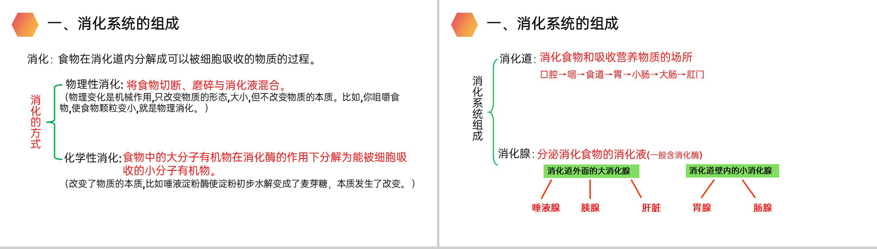 《消化和吸收》人教版生物七年级初一下册PPT课件-2