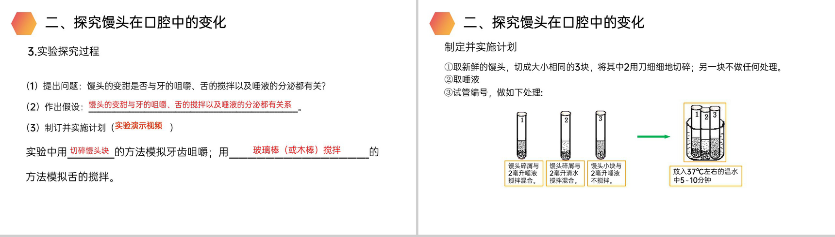 《消化和吸收》人教版生物七年级初一下册PPT课件-7