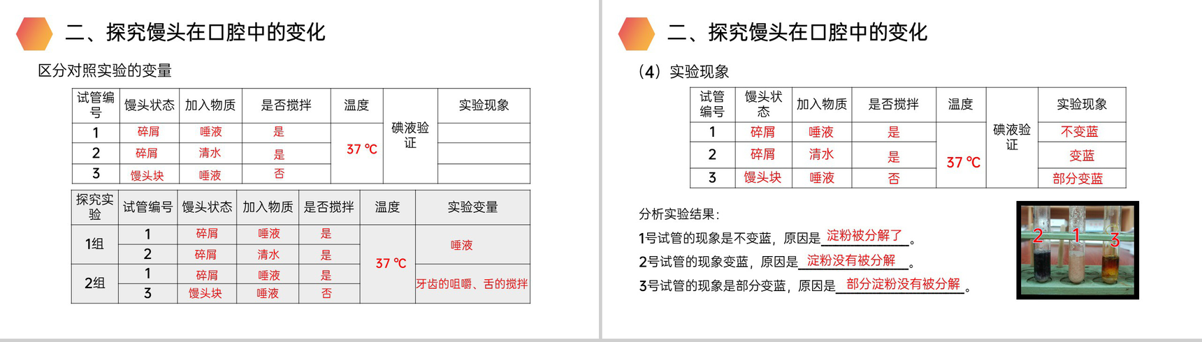 《消化和吸收》人教版生物七年级初一下册PPT课件-8