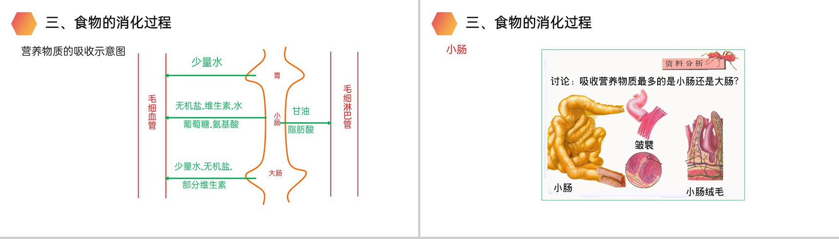 《消化和吸收》人教版生物七年级初一下册PPT课件-12