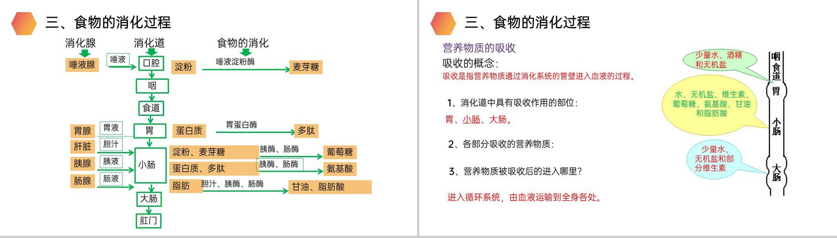 《消化和吸收》人教版生物七年级初一下册PPT课件-11