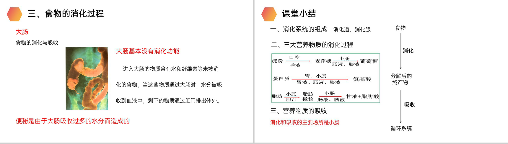 《消化和吸收》人教版生物七年级初一下册PPT课件-14