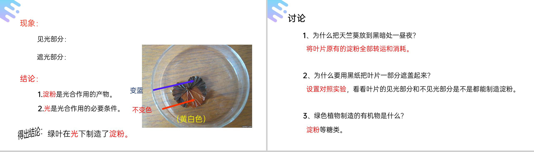 《绿色植物是生物圈中有机物的制造者》人教版七年级初一上册生物PPT课件-7