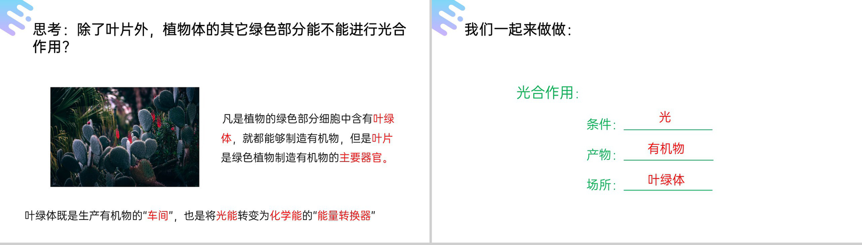 《绿色植物是生物圈中有机物的制造者》人教版七年级初一上册生物PPT课件-8
