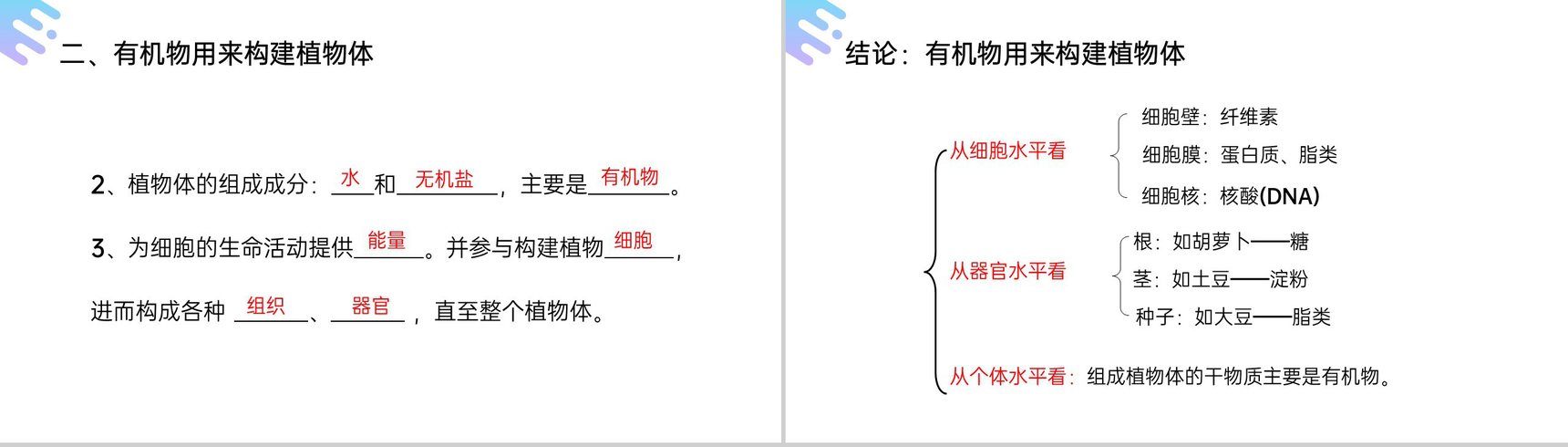 《绿色植物是生物圈中有机物的制造者》人教版七年级初一上册生物PPT课件-10