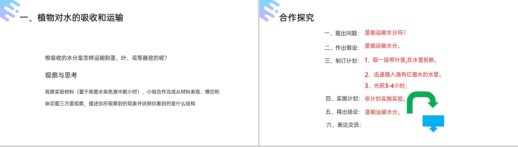 《绿色植物与生物圈的水循环》人教版七年级初一上册生物PPT课件-4