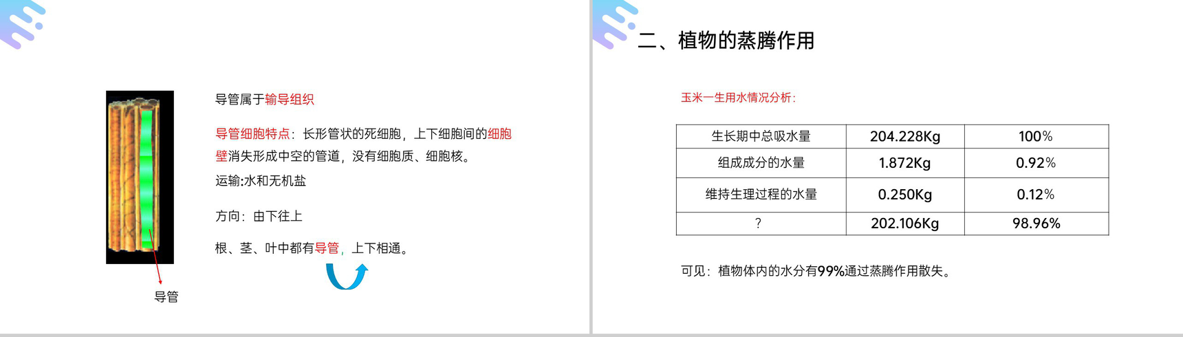 《绿色植物与生物圈的水循环》人教版七年级初一上册生物PPT课件-7