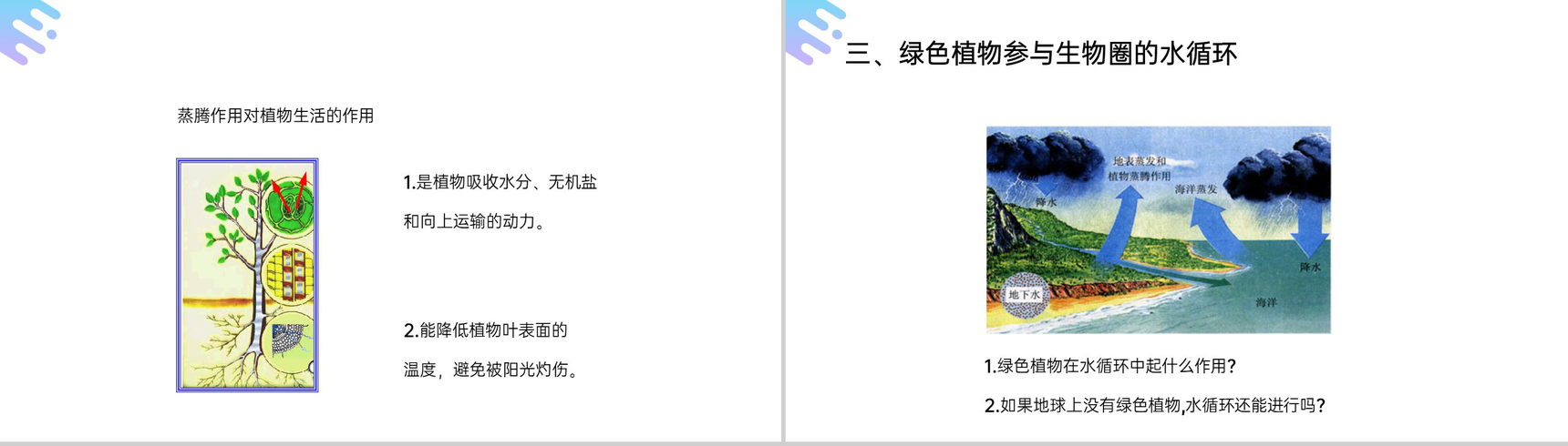 《绿色植物与生物圈的水循环》人教版七年级初一上册生物PPT课件-15