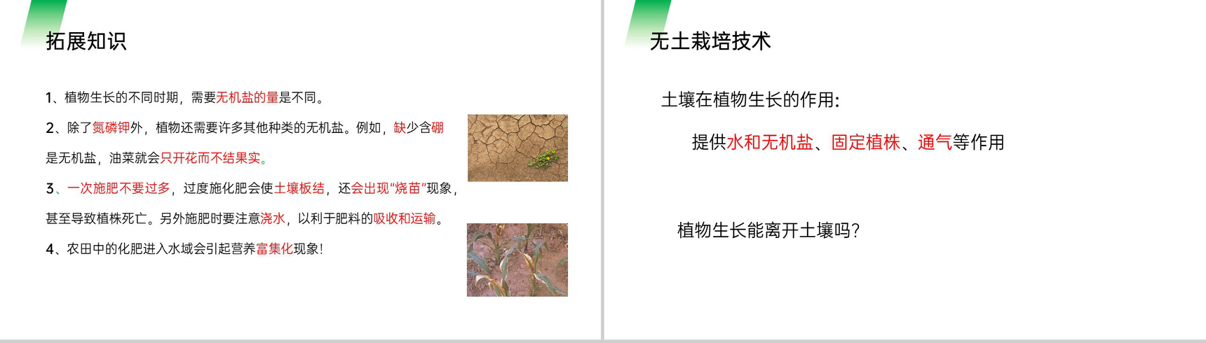 《植株的生长》人教版七年级初一生物上册PPT课件-11