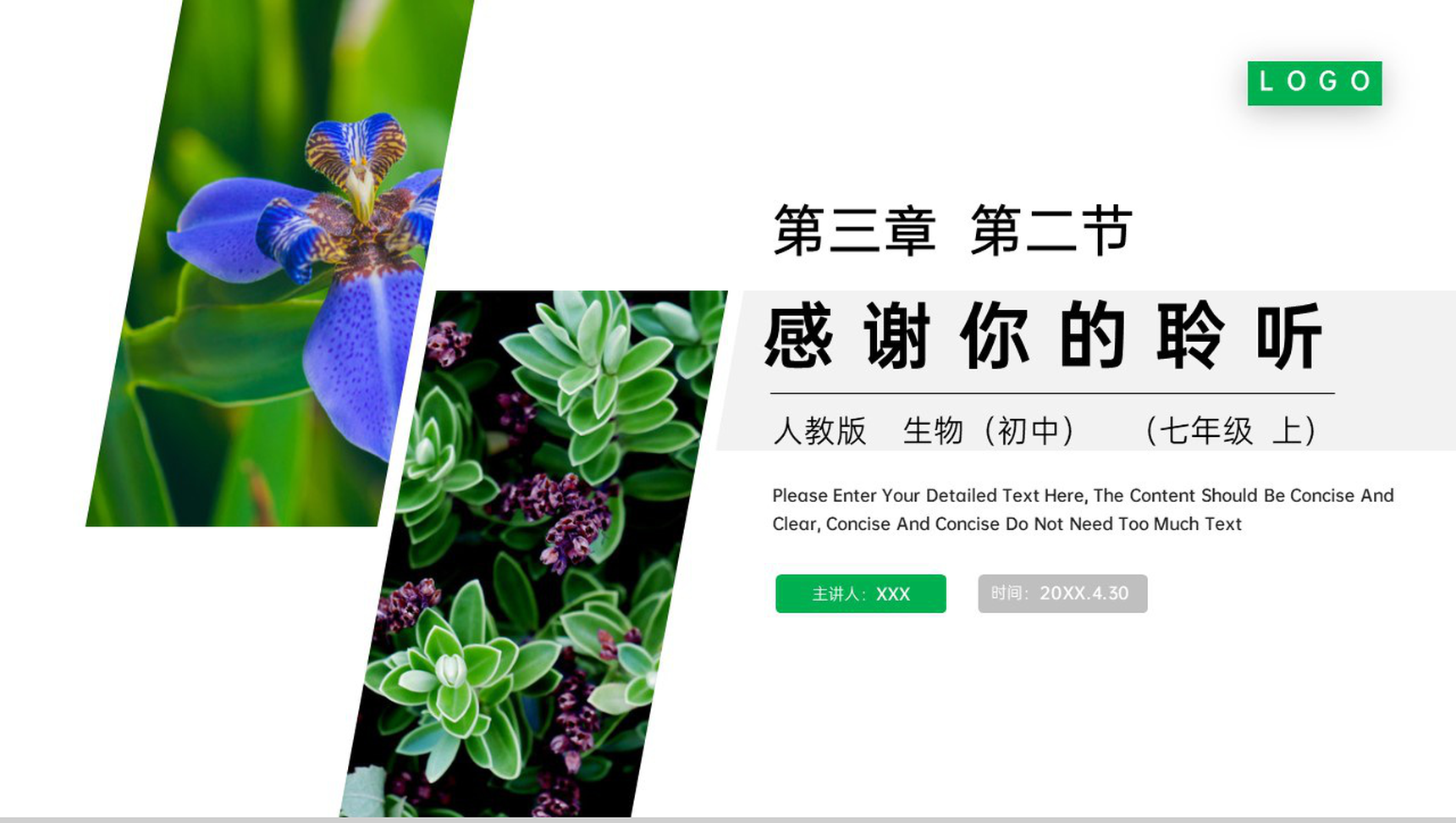 《植株的生长》人教版七年级初一生物上册PPT课件-15