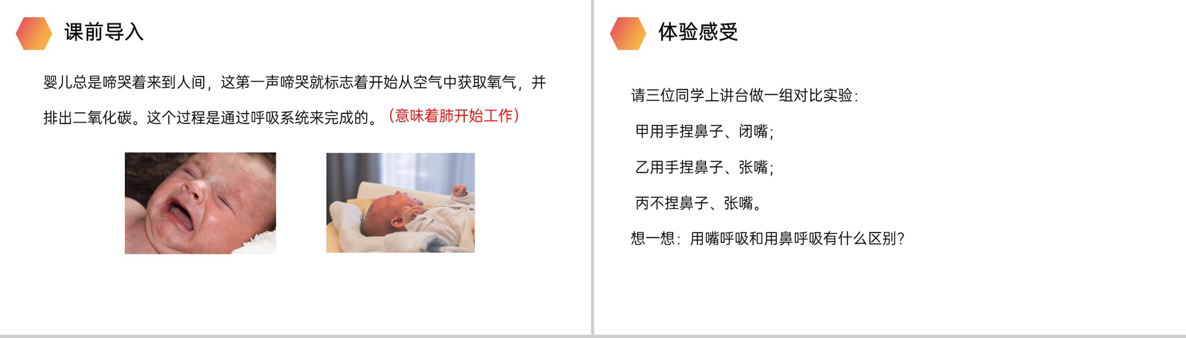 《呼吸道对空气的处理》人教版生物七年级初一下册PPT课件-2