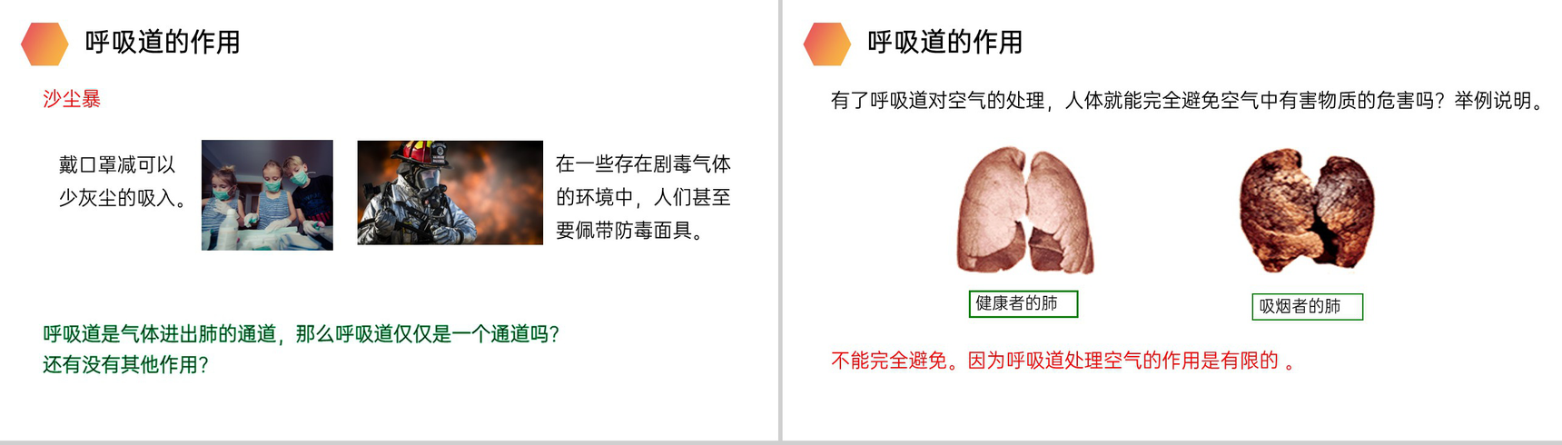 《呼吸道对空气的处理》人教版生物七年级初一下册PPT课件-8